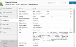 seo-2.webp