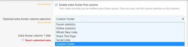 extra-footer-block.png