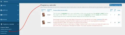 pregnancy-stages.webp