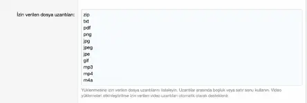 Ekran Resmi 2020-06-04 06.33.34.webp