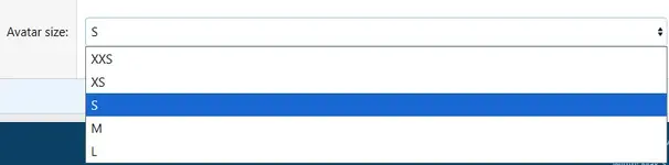 avatar-size.webp